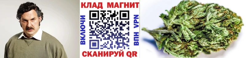 Все наркотики Нижняя Тура Псилоцибиновые грибы  Alpha-PVP  Конопля  Меф мяу мяу  COCAIN  АМФ 