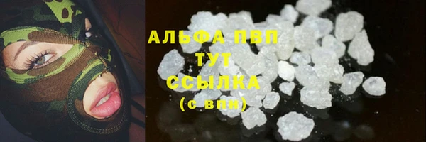 амф Беломорск