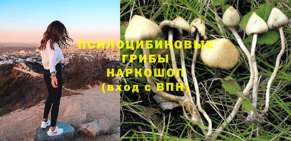 амф Беломорск